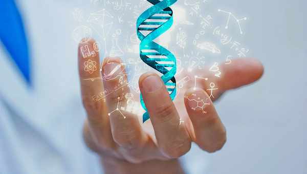 Преимплантационное генетическое тестирование: для чего и кому необходимо